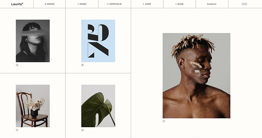 Laurits - Portfolio and Agency Theme