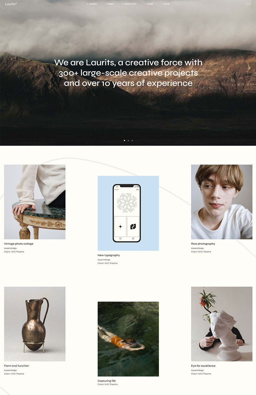 Laurits - Portfolio and Agency Theme